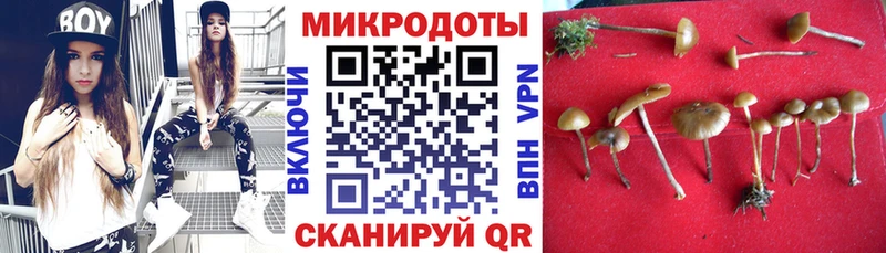 купить наркотики сайты  Брюховецкая  Галлюциногенные грибы мицелий 
